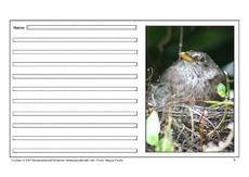 Amsel-eigene-Texte-9.pdf